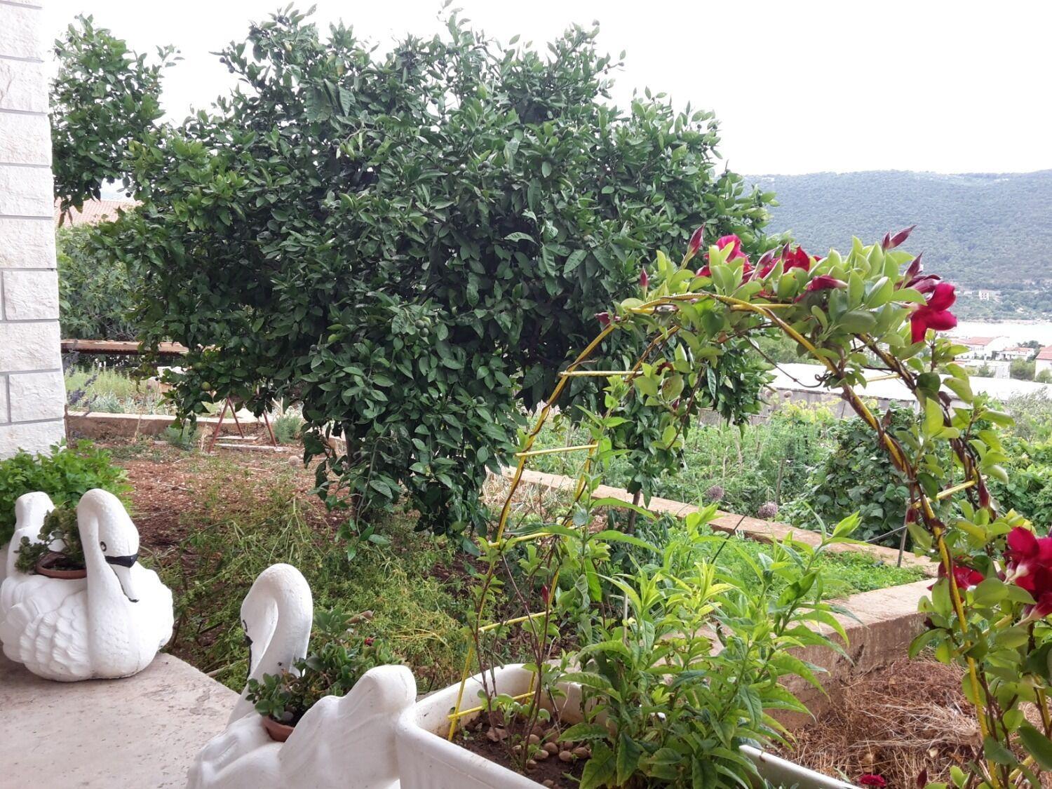 Apartments Josi - Parking And Barbecue Grebaštica Екстериор снимка