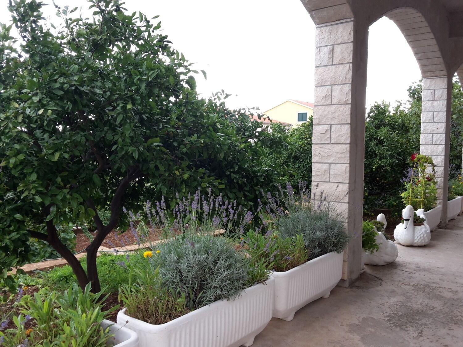 Apartments Josi - Parking And Barbecue Grebaštica Екстериор снимка